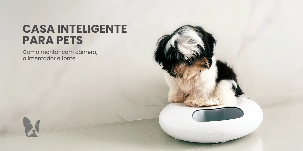 Casa inteligente para pets: como montar com câmera, alimentador e fonte