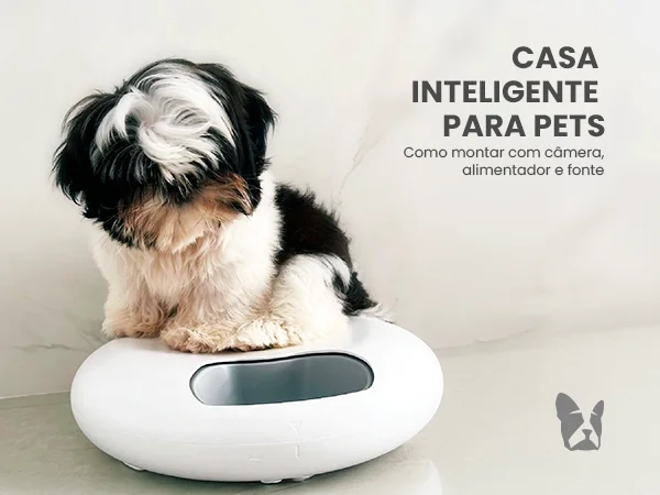 Casa inteligente para pets: como montar com câmera, alimentador e fonte