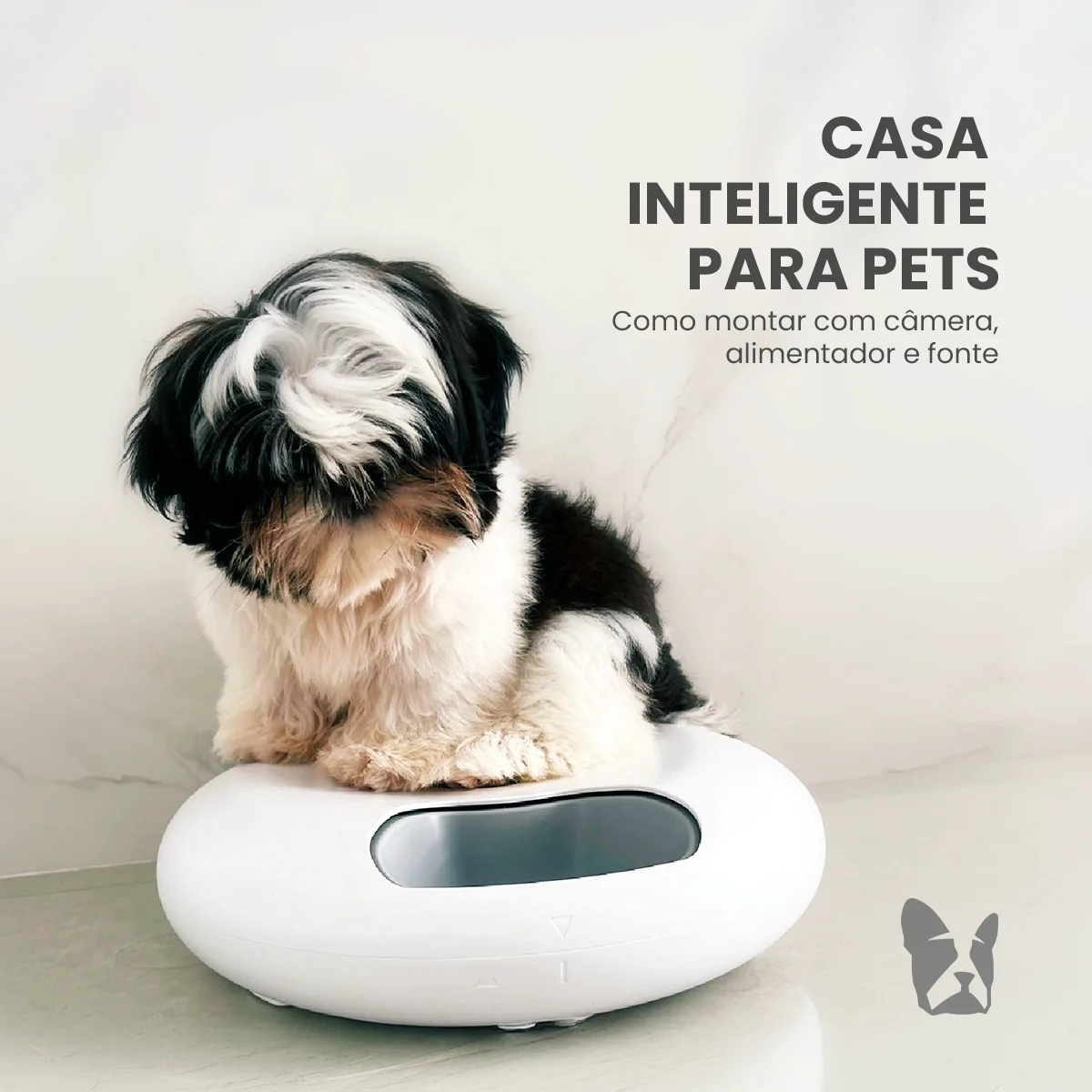 Casa inteligente para pets: como montar com câmera, alimentador e fonte