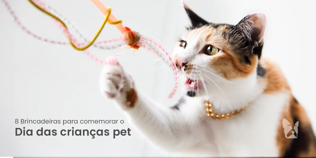 Dia das Crianças pet: 8 brincadeiras para comemorar com o seu cão ou gato