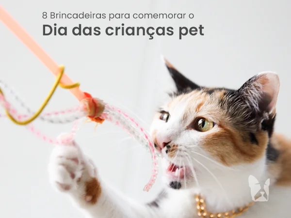 Dia das Crianças pet: 8 brincadeiras para comemorar com o seu cão ou gato